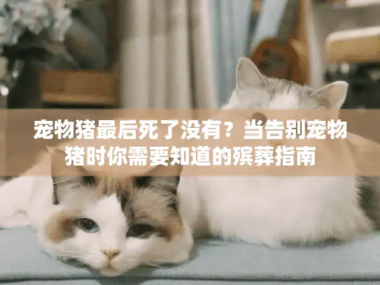 宠物猪最后死了没有？当告别宠物猪时你需要知道的殡葬指南