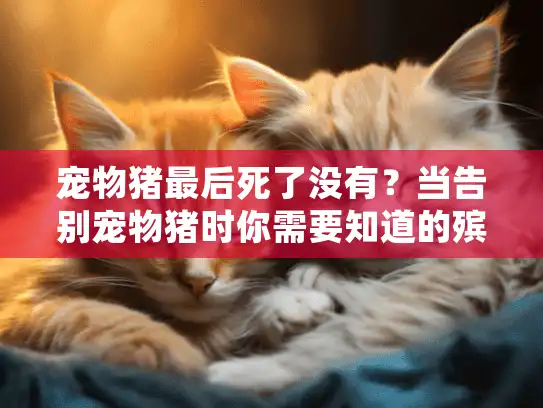 宠物猪最后死了没有？当告别宠物猪时你需要知道的殡葬指南