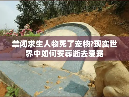 禁闭求生人物死了宠物?现实世界中如何安葬逝去爱宠