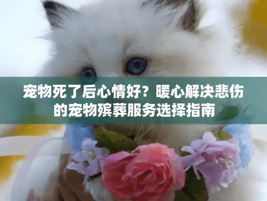 宠物死了后心情好？暖心解决悲伤的宠物殡葬服务选择指南