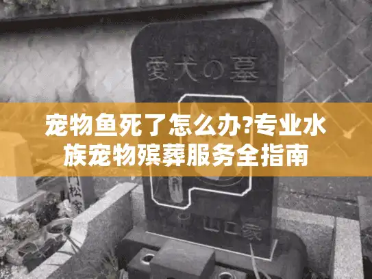 宠物鱼死了怎么办?专业水族宠物殡葬服务全指南