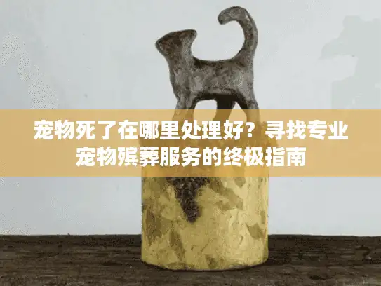 宠物死了在哪里处理好？寻找专业宠物殡葬服务的终极指南