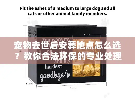 宠物去世后安葬地点怎么选？教你合法环保的专业处理方案
