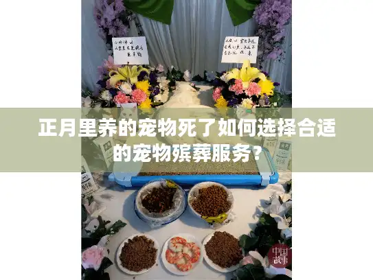 正月里养的宠物死了如何选择合适的宠物殡葬服务？