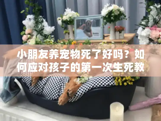 小朋友养宠物死了好吗？如何应对孩子的第一次生死教育