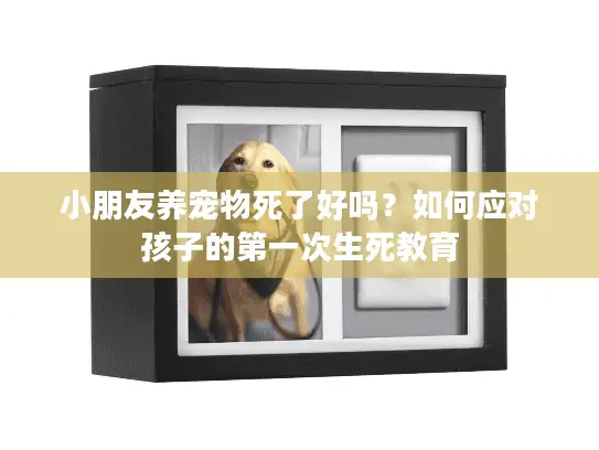 小朋友养宠物死了好吗？如何应对孩子的第一次生死教育