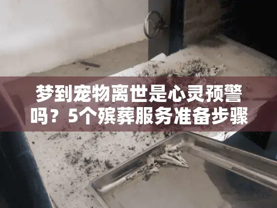 梦到宠物离世是心灵预警吗？5个殡葬服务准备步骤+心理恢复指南