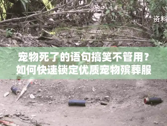 宠物死了的语句搞笑不管用？如何快速锁定优质宠物殡葬服务