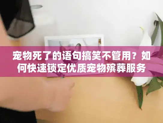 宠物死了的语句搞笑不管用？如何快速锁定优质宠物殡葬服务