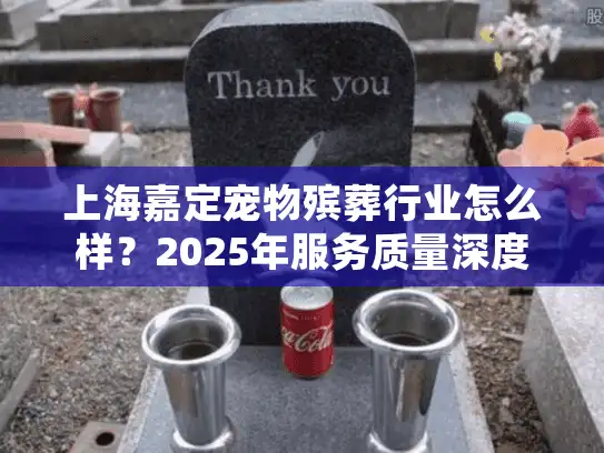 上海嘉定宠物殡葬行业怎么样？2025年服务质量深度测评