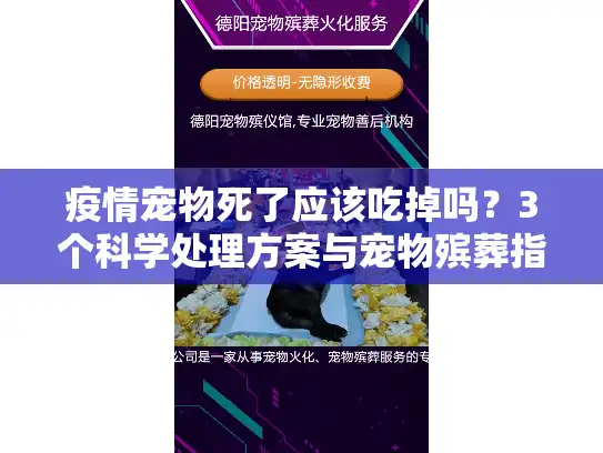 疫情宠物死了应该吃掉吗？3个科学处理方案与宠物殡葬指南
