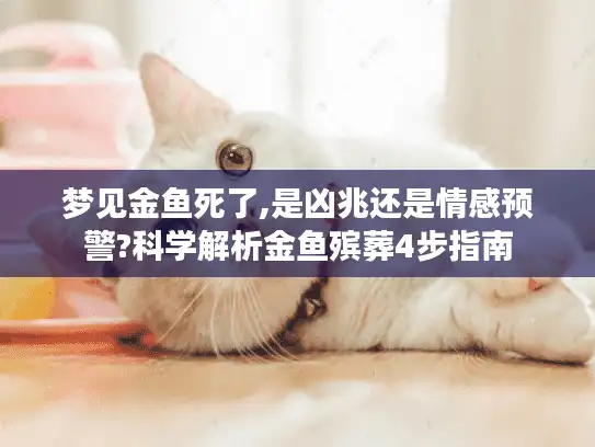 梦见金鱼死了,是凶兆还是情感预警?科学解析金鱼殡葬4步指南