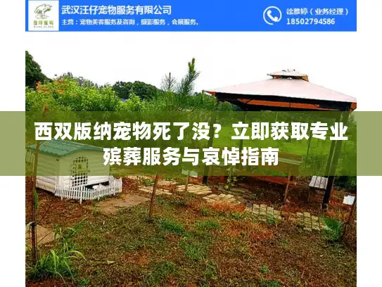 西双版纳宠物死了没？立即获取专业殡葬服务与哀悼指南