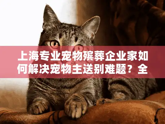 上海专业宠物殡葬企业家如何解决宠物主送别难题？全流程透明服务详解