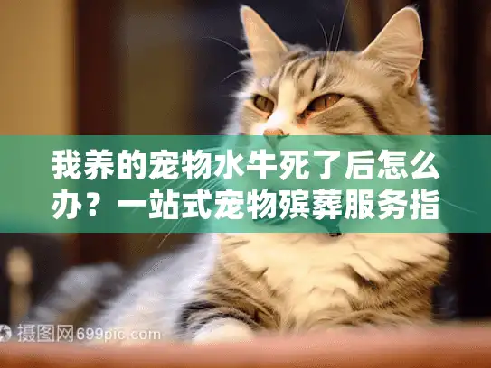 我养的宠物水牛死了后怎么办？一站式宠物殡葬服务指南