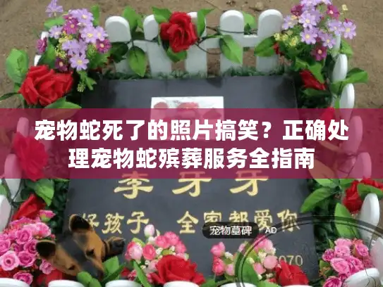 宠物蛇死了的照片搞笑？正确处理宠物蛇殡葬服务全指南