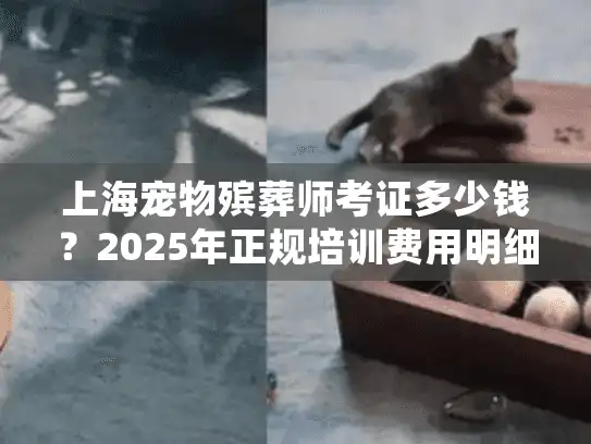 上海宠物殡葬师考证多少钱？2025年正规培训费用明细全解析