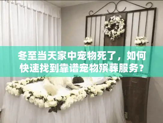 冬至当天家中宠物死了，如何快速找到靠谱宠物殡葬服务？