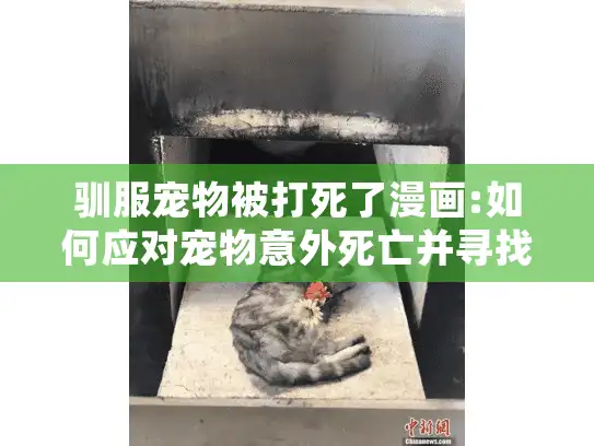 驯服宠物被打死了漫画:如何应对宠物意外死亡并寻找殡葬服务?