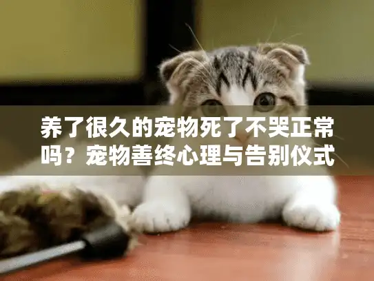 养了很久的宠物死了不哭正常吗？宠物善终心理与告别仪式指南