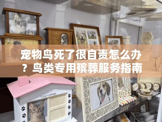 宠物鸟死了很自责怎么办？鸟类专用殡葬服务指南