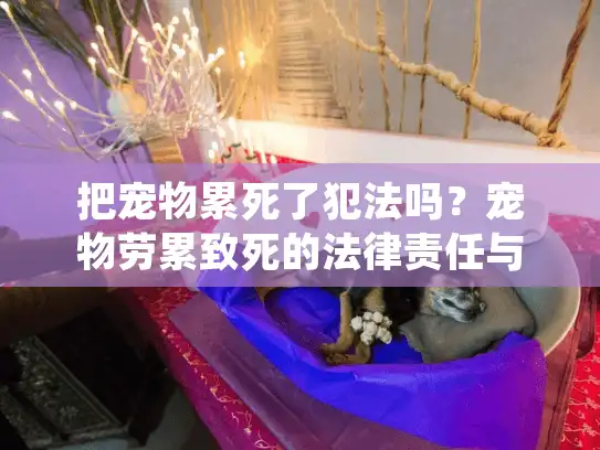把宠物累死了犯法吗？宠物劳累致死的法律责任与善后指南