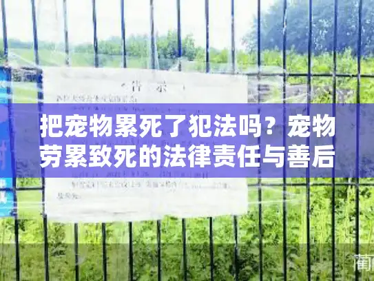 把宠物累死了犯法吗？宠物劳累致死的法律责任与善后指南