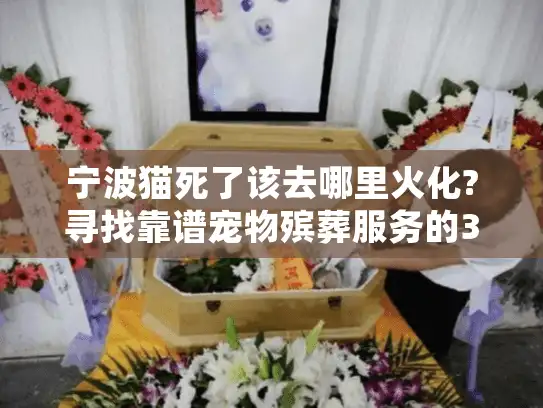 宁波猫死了该去哪里火化?寻找靠谱宠物殡葬服务的3大要点