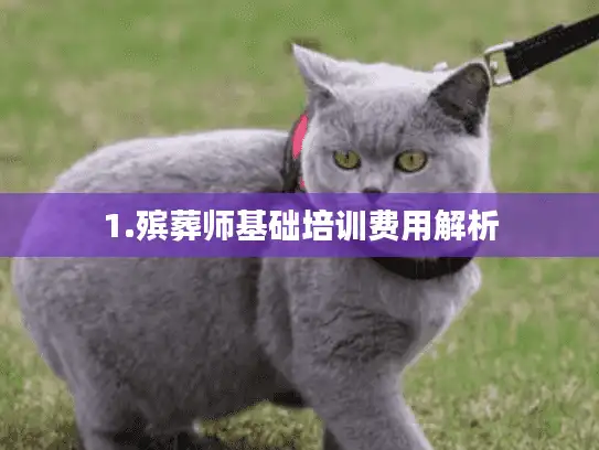 1.殡葬师基础培训费用解析
