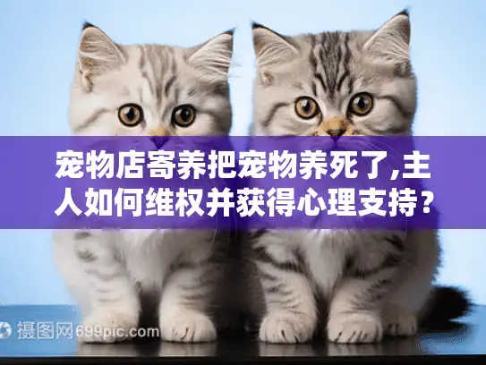 宠物店寄养把宠物养死了,主人如何维权并获得心理支持？