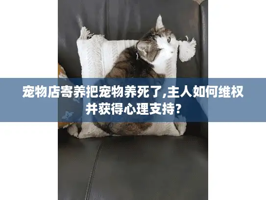 宠物店寄养把宠物养死了,主人如何维权并获得心理支持？