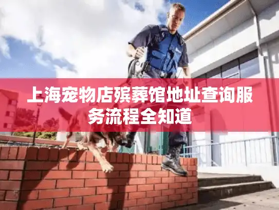 上海宠物店殡葬馆地址查询服务流程全知道