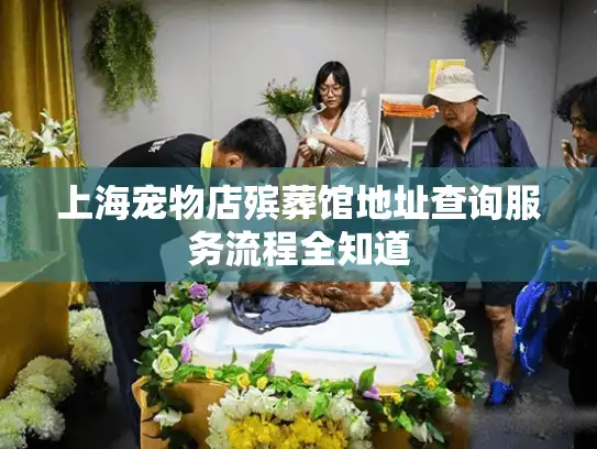 上海宠物店殡葬馆地址查询服务流程全知道