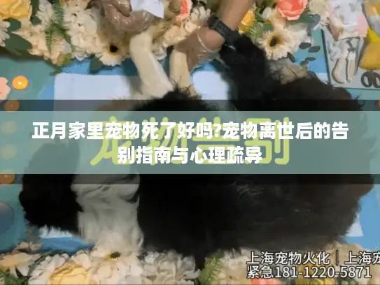 正月家里宠物死了好吗?宠物离世后的告别指南与心理疏导