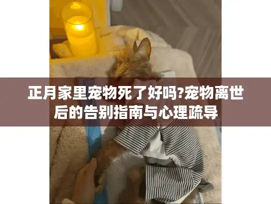 正月家里宠物死了好吗?宠物离世后的告别指南与心理疏导