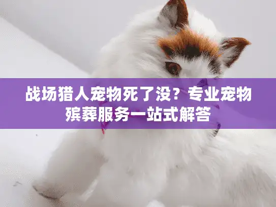战场猎人宠物死了没？专业宠物殡葬服务一站式解答