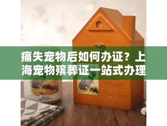 痛失宠物后如何办证？上海宠物殡葬证一站式办理指南