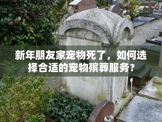 新年朋友家宠物死了，如何选择合适的宠物殡葬服务？