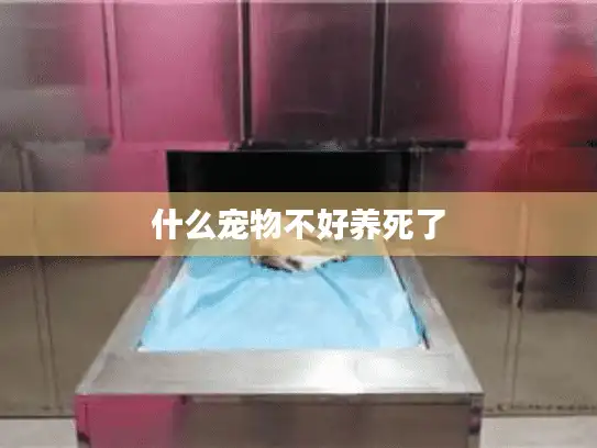 什么宠物不好养死了