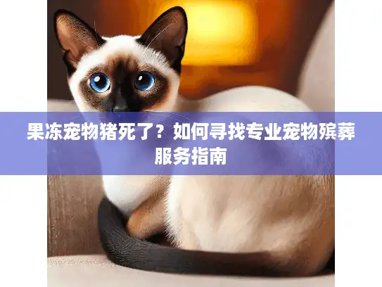果冻宠物猪死了？如何寻找专业宠物殡葬服务指南