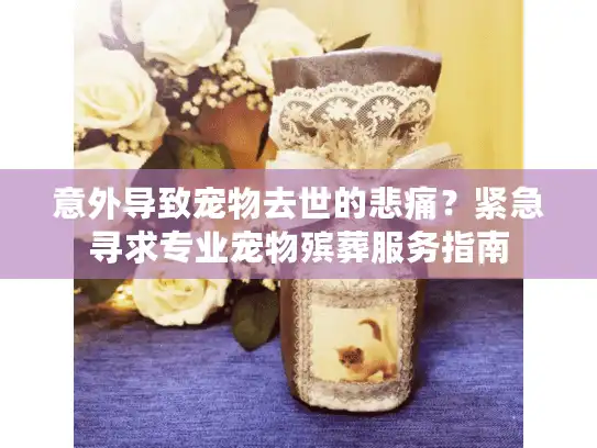 意外导致宠物去世的悲痛？紧急寻求专业宠物殡葬服务指南