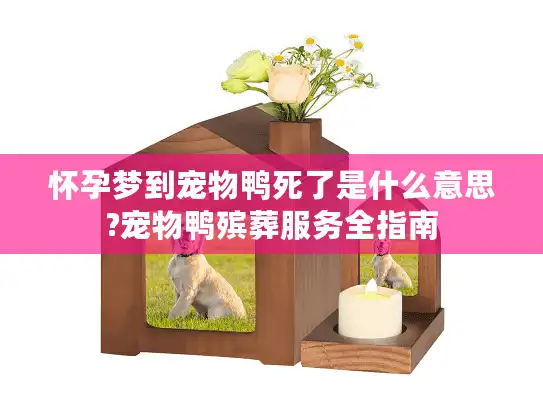怀孕梦到宠物鸭死了是什么意思?宠物鸭殡葬服务全指南