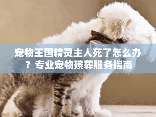 宠物王国精灵主人死了怎么办？专业宠物殡葬服务指南