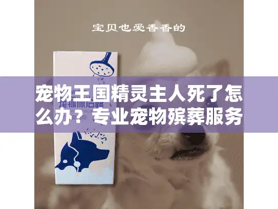 宠物王国精灵主人死了怎么办？专业宠物殡葬服务指南