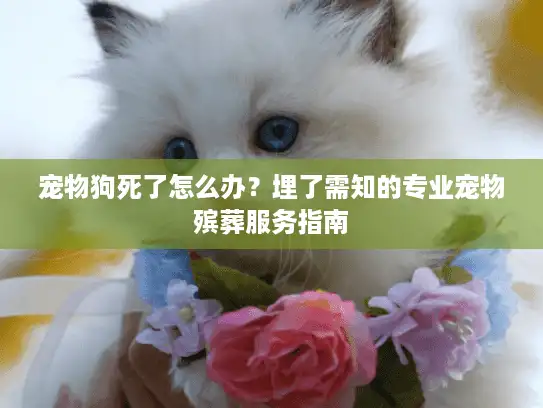 宠物狗死了怎么办？埋了需知的专业宠物殡葬服务指南