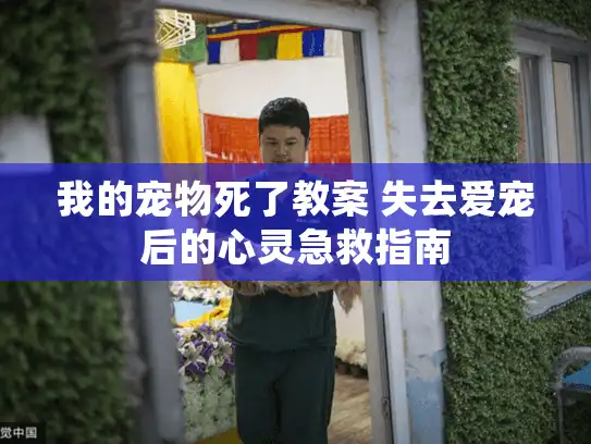 我的宠物死了教案 失去爱宠后的心灵急救指南