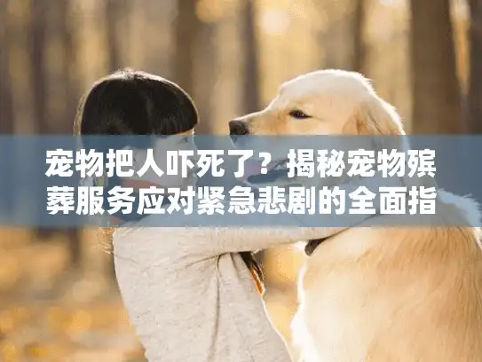 宠物把人吓死了？揭秘宠物殡葬服务应对紧急悲剧的全面指南