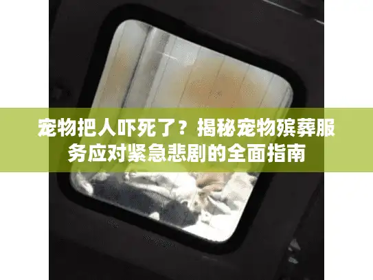 宠物把人吓死了？揭秘宠物殡葬服务应对紧急悲剧的全面指南