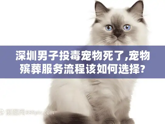 深圳男子投毒宠物死了,宠物殡葬服务流程该如何选择?