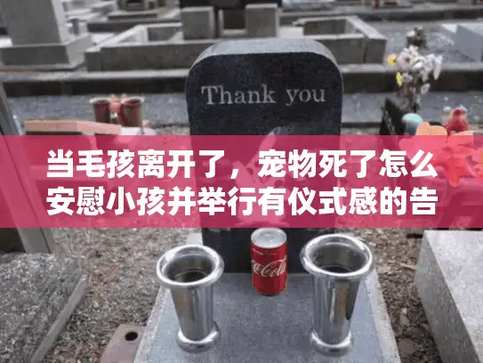 当毛孩离开了，宠物死了怎么安慰小孩并举行有仪式感的告别？